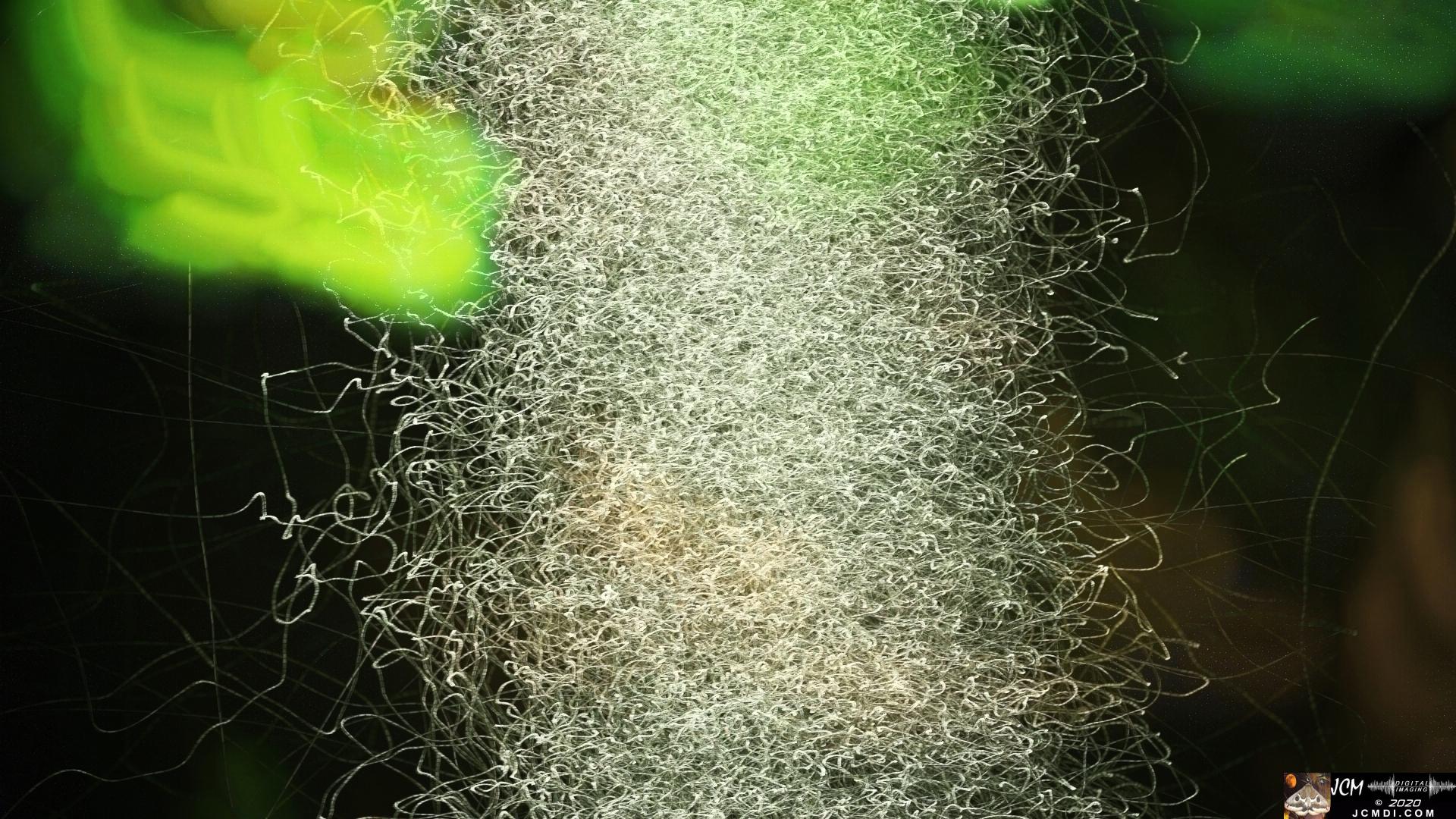 V25071b Tornado Bugs IRV C92, Composite NoDK 4x 1181